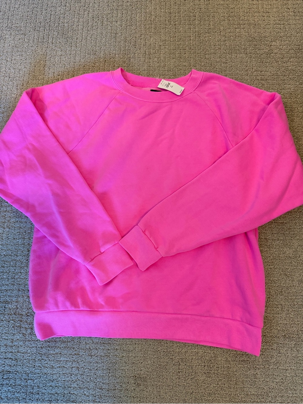GAP Neon Pink Crewneck Sweatshirt